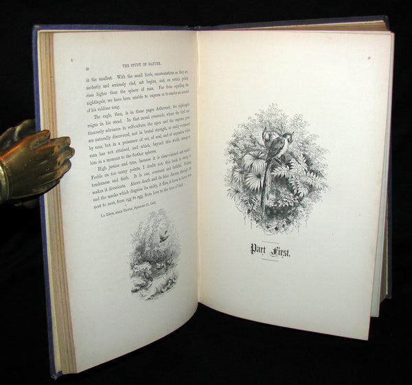1868 Rare Victorian Book  ~ The BIRD by Jules Michelet with 210 illustrations by Giacomelli