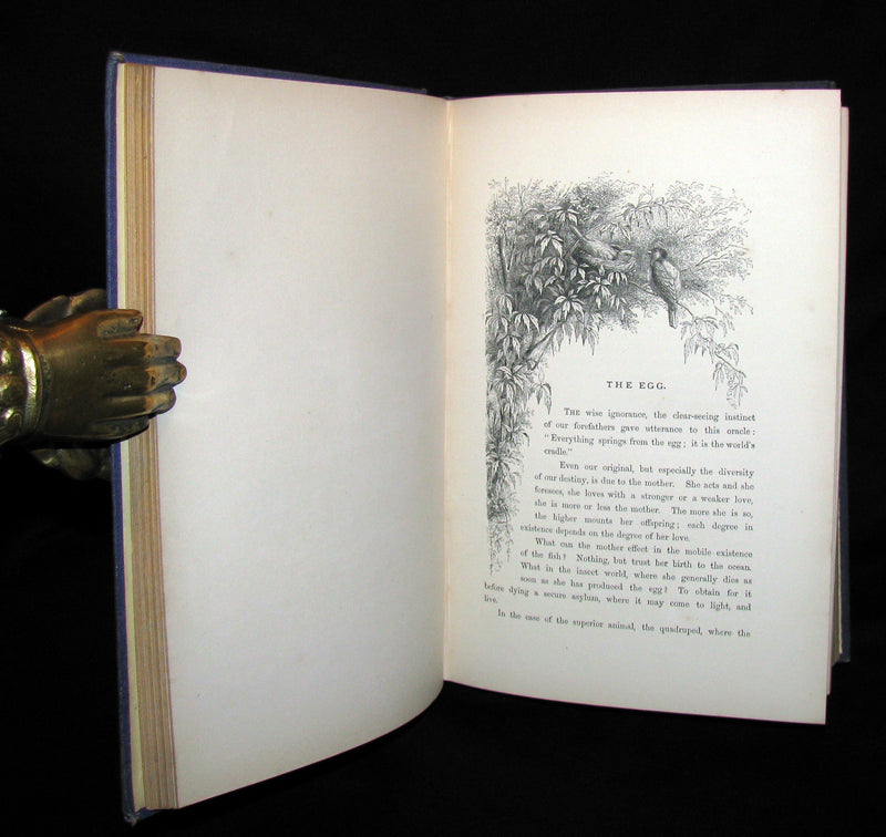 1868 Rare Victorian Book  ~ The BIRD by Jules Michelet with 210 illustrations by Giacomelli