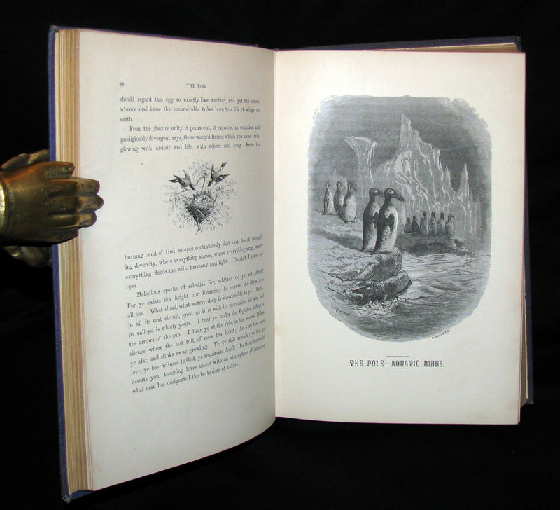 1868 Rare Victorian Book  ~ The BIRD by Jules Michelet with 210 illustrations by Giacomelli