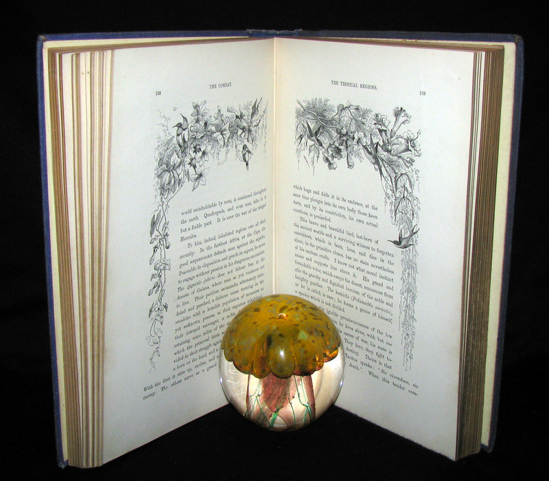 1868 Rare Victorian Book  ~ The BIRD by Jules Michelet with 210 illustrations by Giacomelli