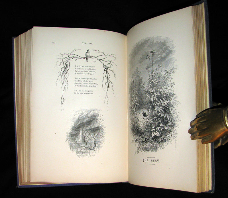 1868 Rare Victorian Book  ~ The BIRD by Jules Michelet with 210 illustrations by Giacomelli