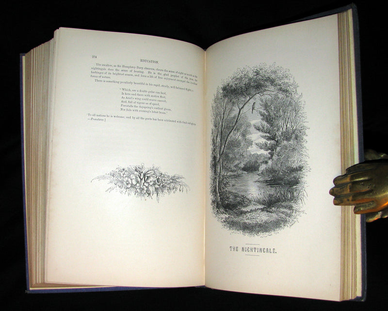 1868 Rare Victorian Book  ~ The BIRD by Jules Michelet with 210 illustrations by Giacomelli