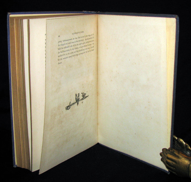 1868 Rare Victorian Book  ~ The BIRD by Jules Michelet with 210 illustrations by Giacomelli