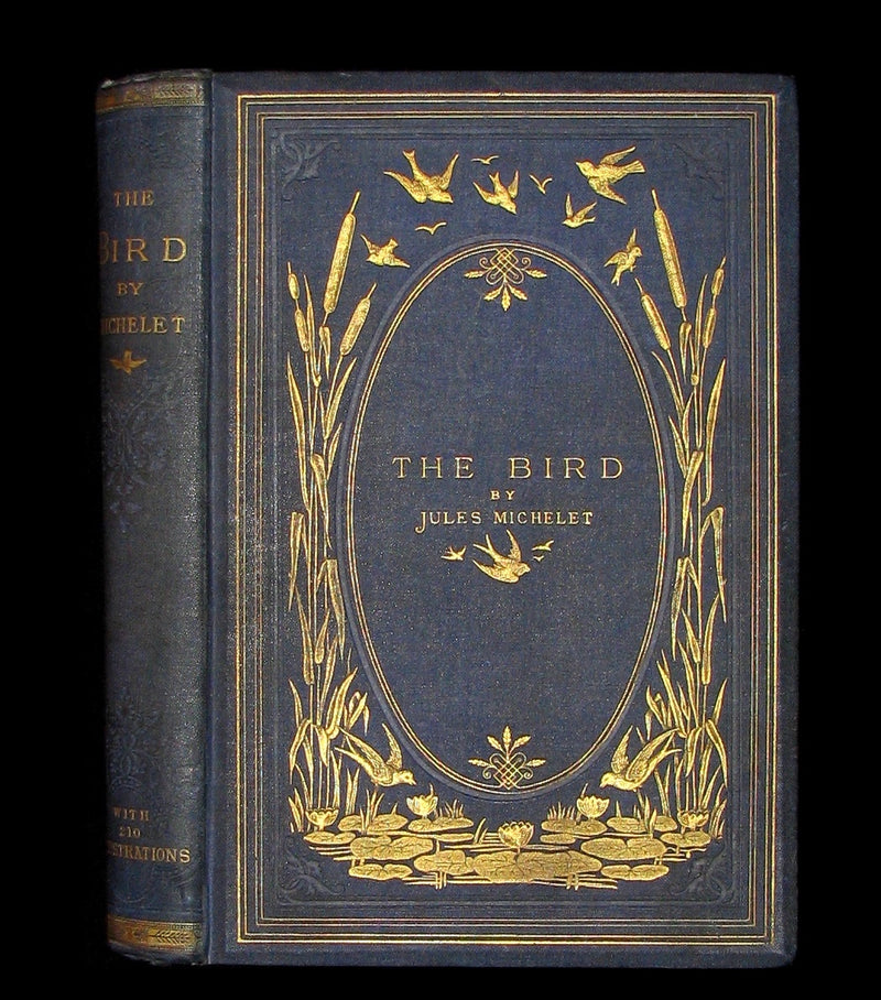 1868 Rare Victorian Book  ~ The BIRD by Jules Michelet with 210 illustrations by Giacomelli