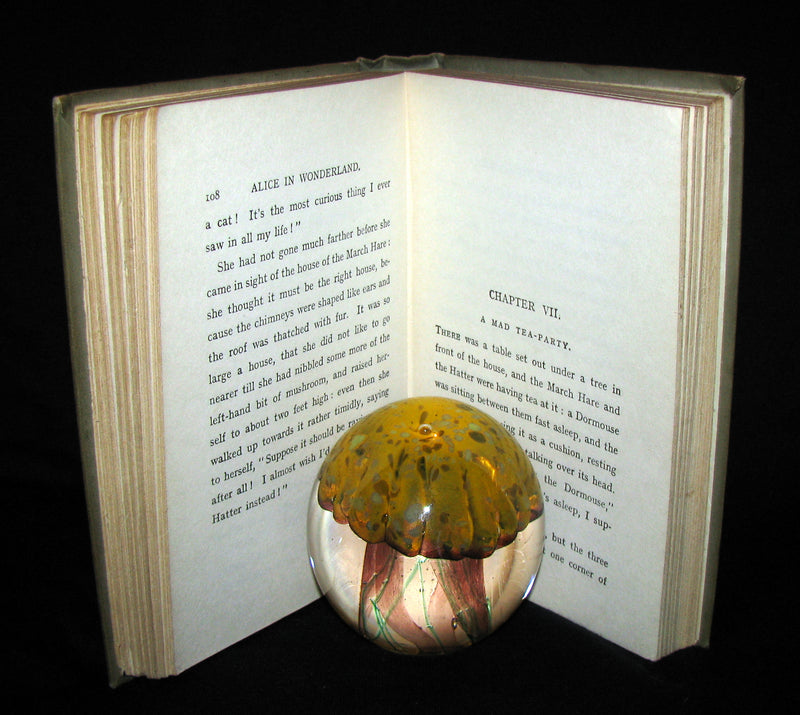 1920 Rare Book -  Alice's Adventures in Wonderland with frontis by Margaret W. Tarrant