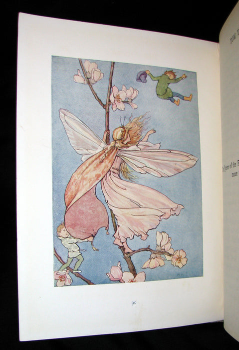 1922 Rare Book -  FAIRY TALES with 48 Coloured Plates By Margaret W. Tarrant