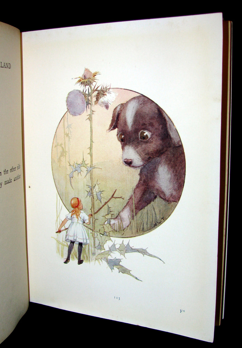 1920 Rare Book -  Alice's Adventures in Wonderland with 48 Coloured Plates By Margaret W. Tarrant
