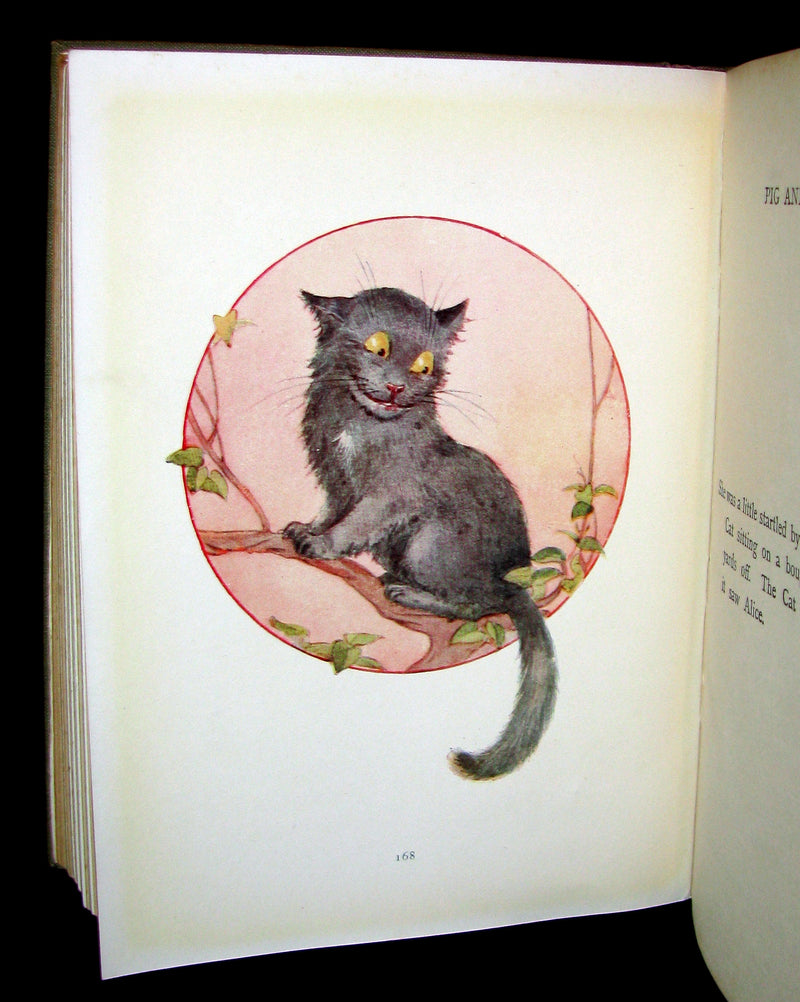 1920 Rare Book -  Alice's Adventures in Wonderland with 48 Coloured Plates By Margaret W. Tarrant