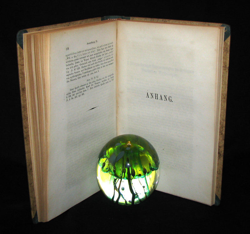 1856 Scarce Science of Fairy Tales Book - OTIA IMPERIALIA by Gervase of Tilbury