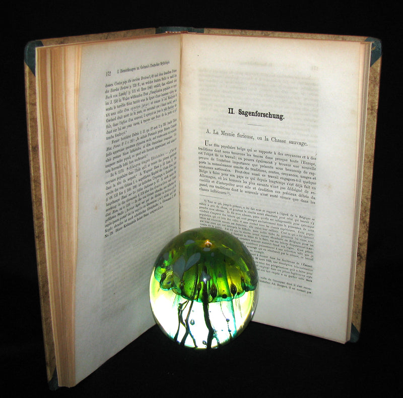 1856 Scarce Science of Fairy Tales Book - OTIA IMPERIALIA by Gervase of Tilbury