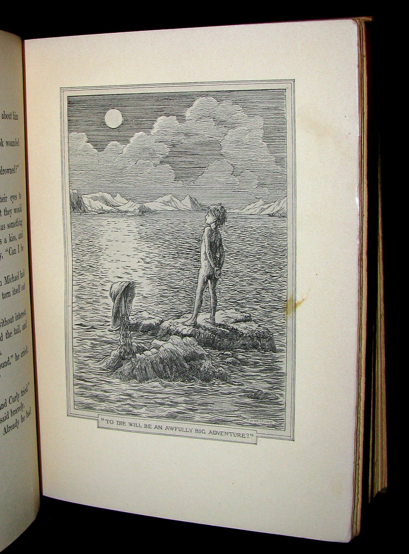 1911 Rare Book  - Peter Pan First Edition - Peter and Wendy by James Matthew Barrie