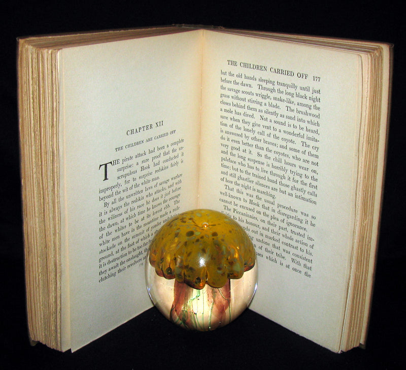 1911 Rare Book  - Peter Pan First Edition - Peter and Wendy by James Matthew Barrie