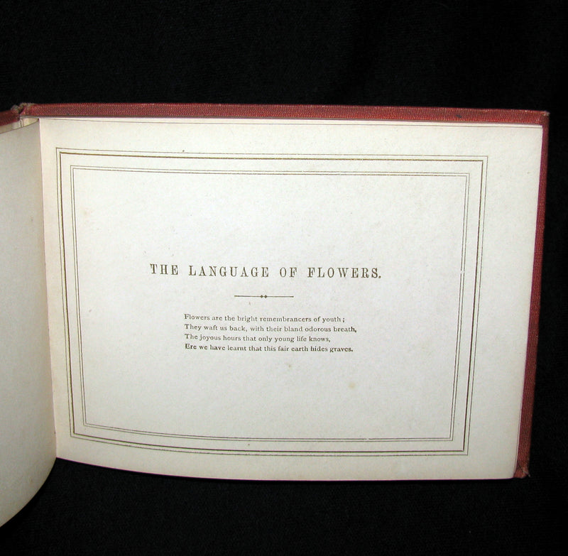 1872 Scarce Floriography Book ~ The Language of Flowers: An Alphabet of Floral Emblems.