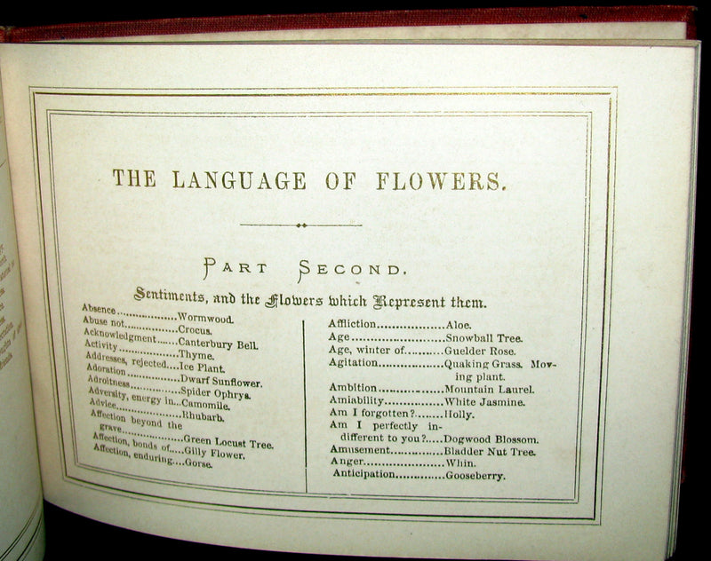 1872 Scarce Floriography Book ~ The Language of Flowers: An Alphabet of Floral Emblems.