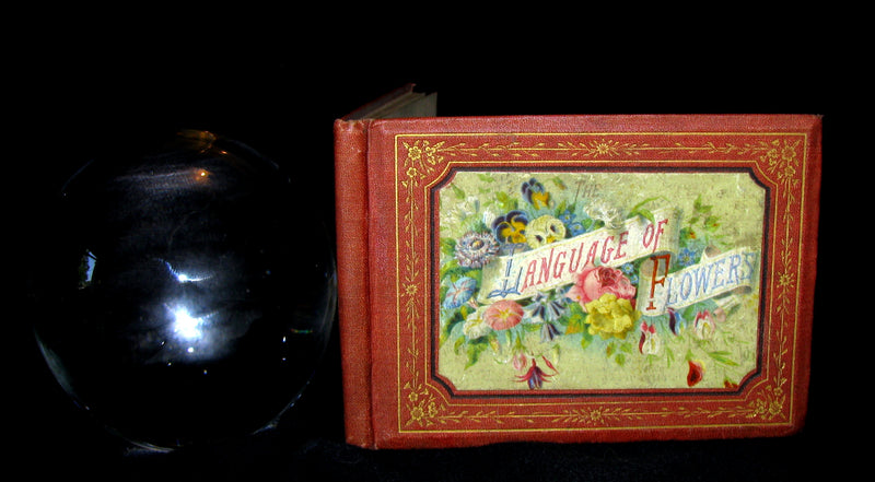 1872 Scarce Floriography Book ~ The Language of Flowers: An Alphabet of Floral Emblems.