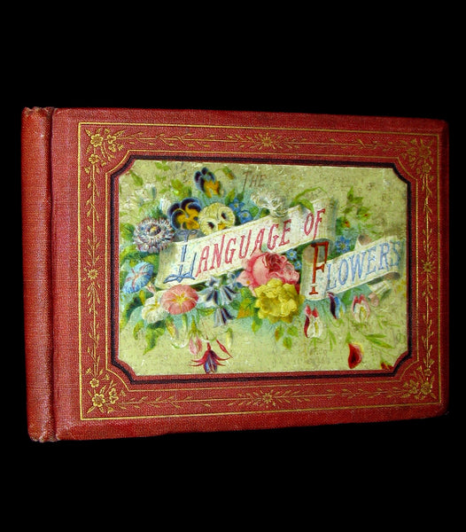 1872 Scarce Floriography Book ~ The Language of Flowers: An Alphabet of Floral Emblems.