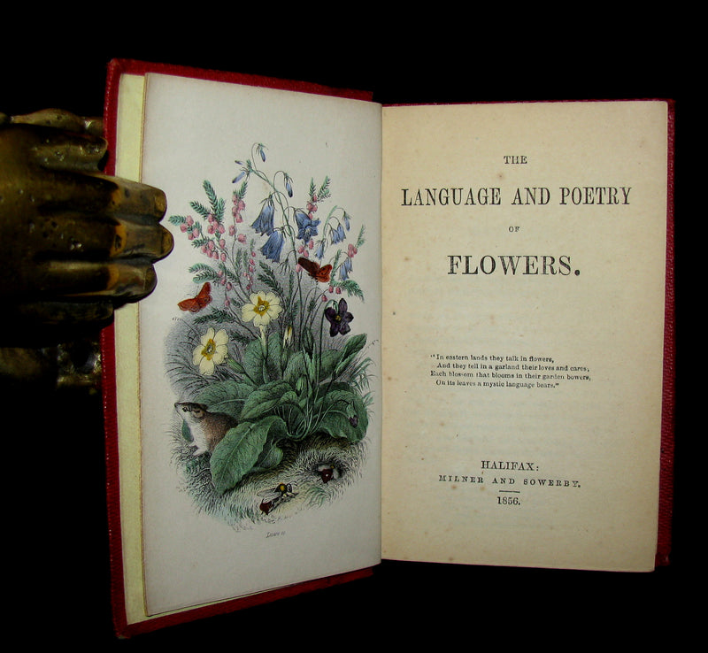 1856 Scarce Floriography Book ~ The Language and Poetry of Flowers