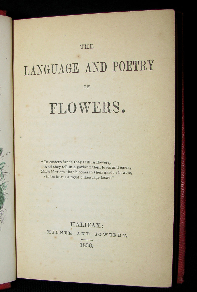1856 Scarce Floriography Book ~ The Language and Poetry of Flowers