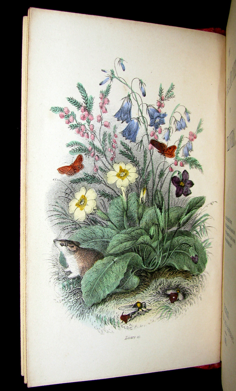 1856 Scarce Floriography Book ~ The Language and Poetry of Flowers