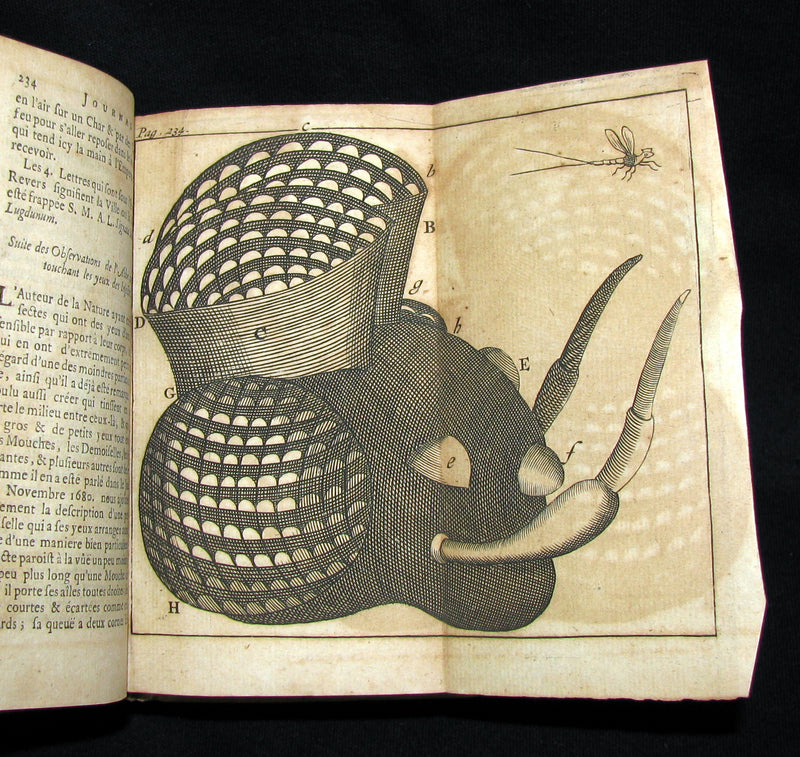 1682 Rare French Book - Scientists' Journal for year 1681 - Including Great Comet of 1680