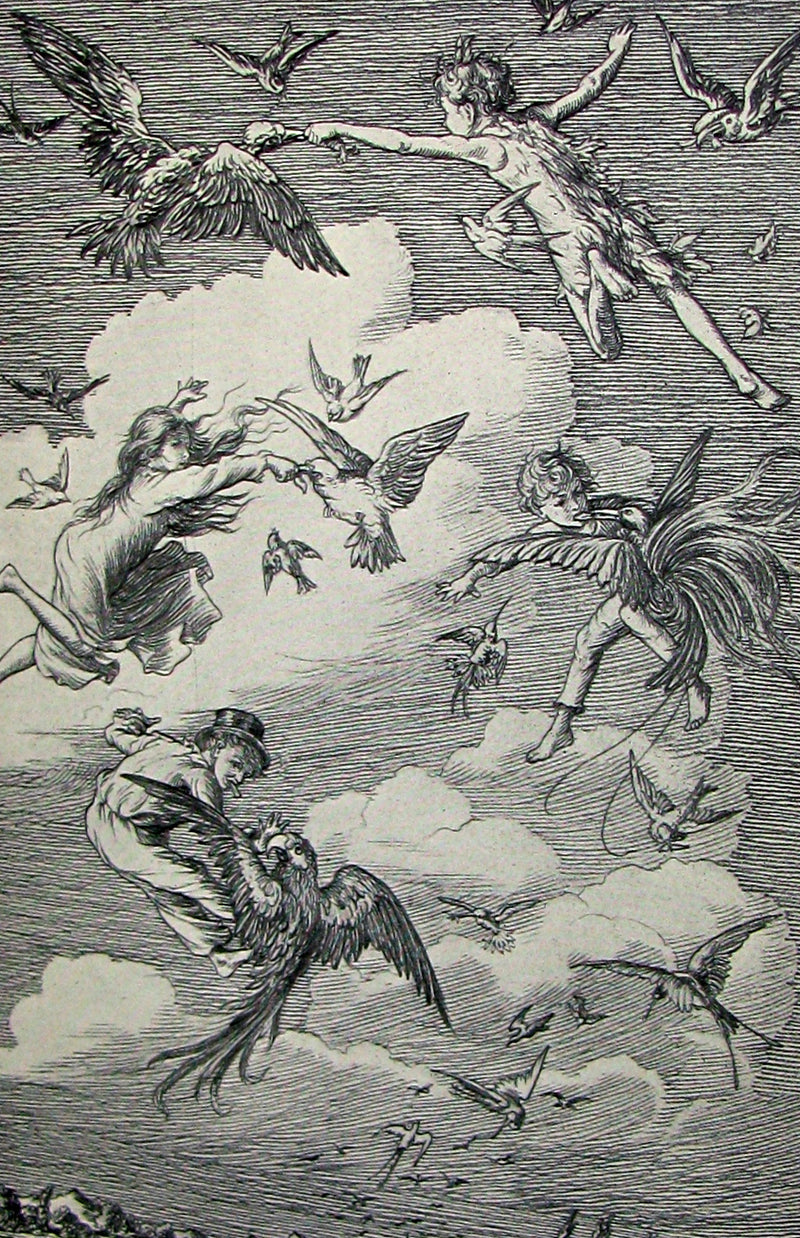 1911 Rare Book  - Peter Pan First Edition - Peter and Wendy by James Matthew Barrie