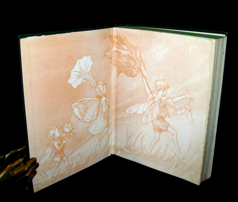1950 - Cicely Mary Barker - FAIRIES OF THE FLOWERS AND TREES - 1st Edition with dust jacket