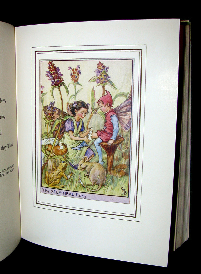 1950 - Cicely Mary Barker - FAIRIES OF THE FLOWERS AND TREES - 1st Edition with dust jacket