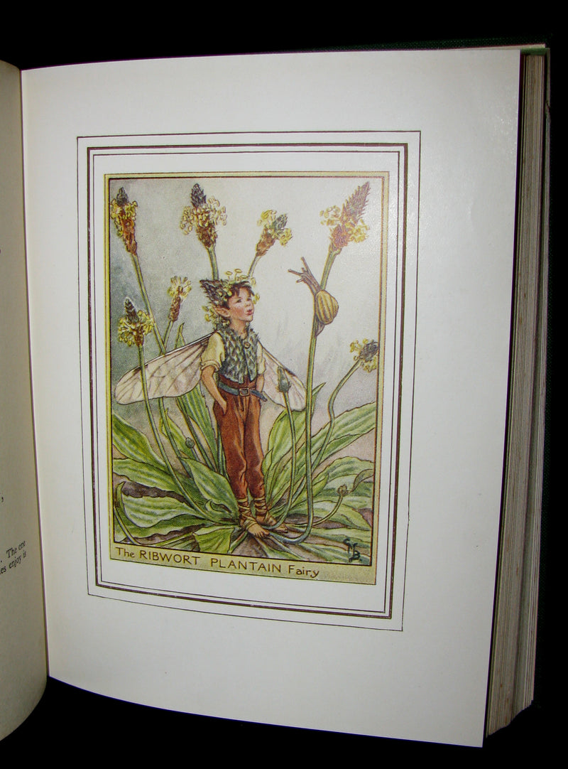 1950 - Cicely Mary Barker - FAIRIES OF THE FLOWERS AND TREES - 1st Edition with dust jacket