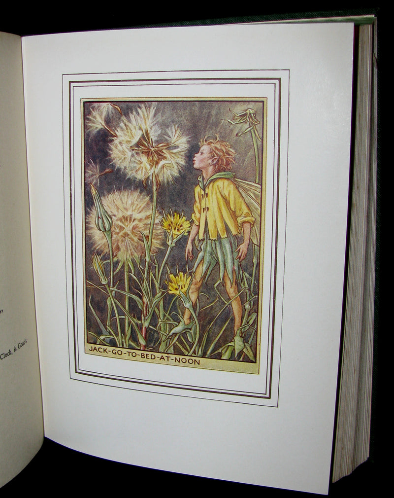 1950 - Cicely Mary Barker - FAIRIES OF THE FLOWERS AND TREES - 1st Edition with dust jacket