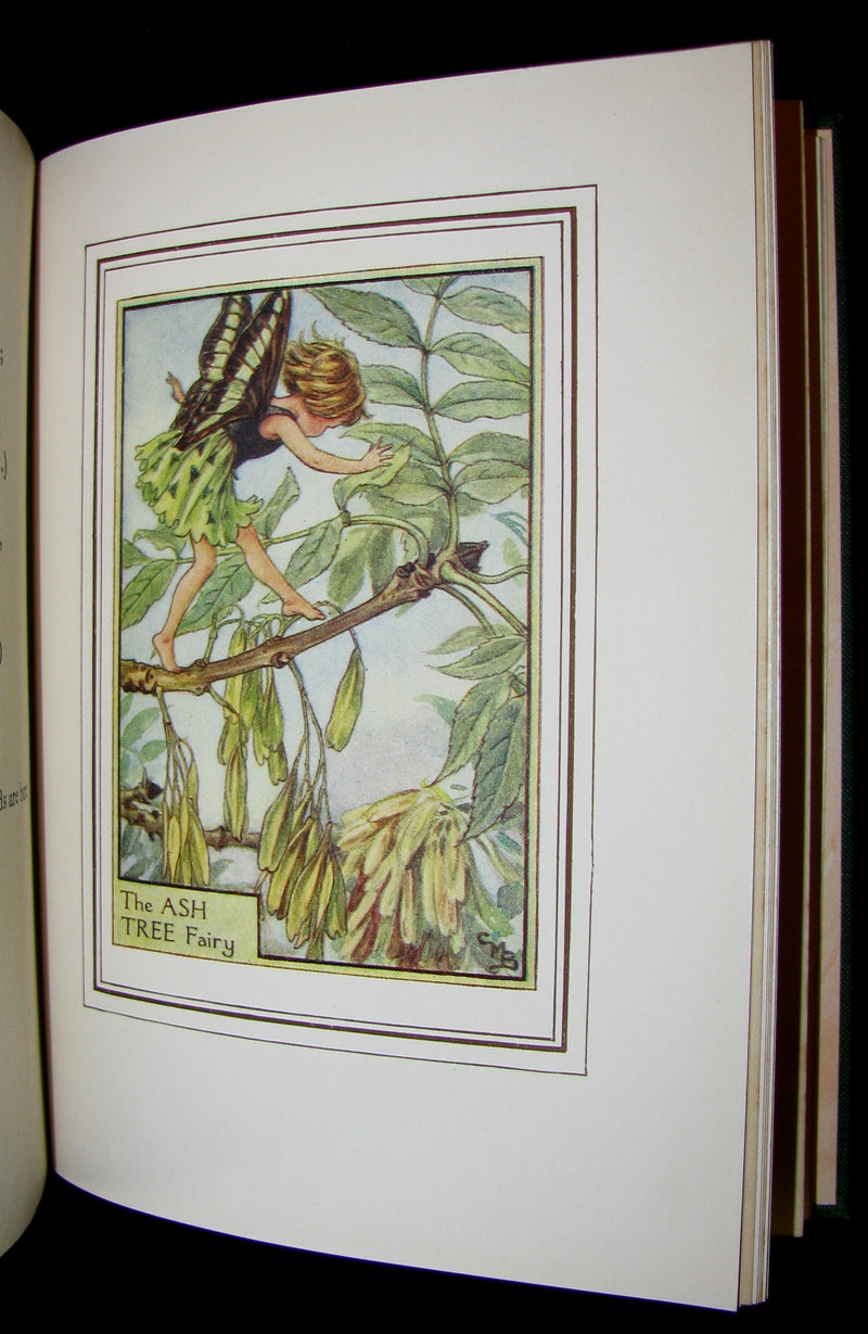 1950 - Cicely Mary Barker - FAIRIES OF THE FLOWERS AND TREES - 1st Edition with dust jacket