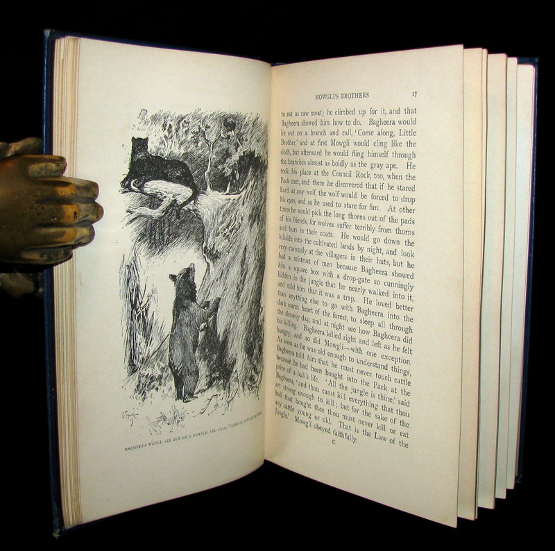 1897 Rare Book - The Jungle Book by Rudyard Kipling -  First Edition, 6th Printing