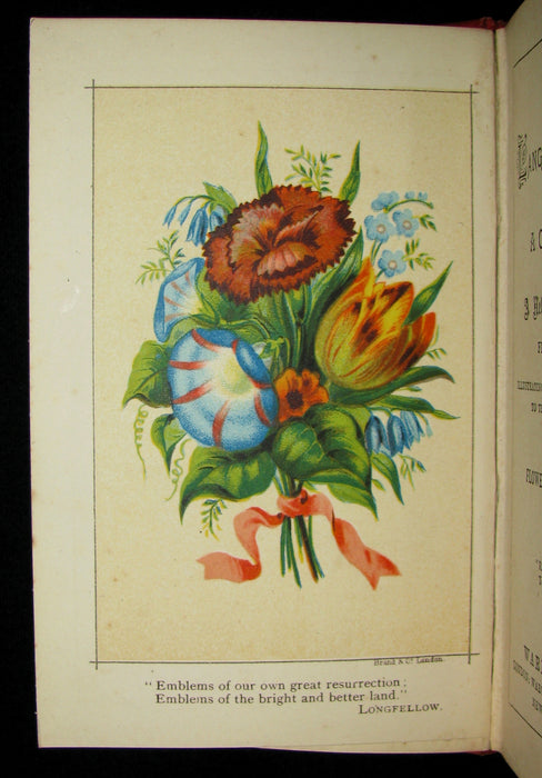 1880 Rare Floriography Book ~ The Language of Flowers with a Complete vocabulary