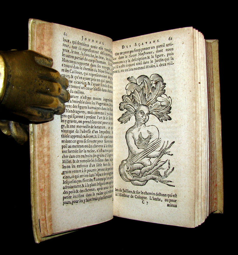 1683 Rare French Book - Scientists' Journal for year 1677 - Astronomy Sunspot, Snake Stones, 3 suns in Paris sky, etc.