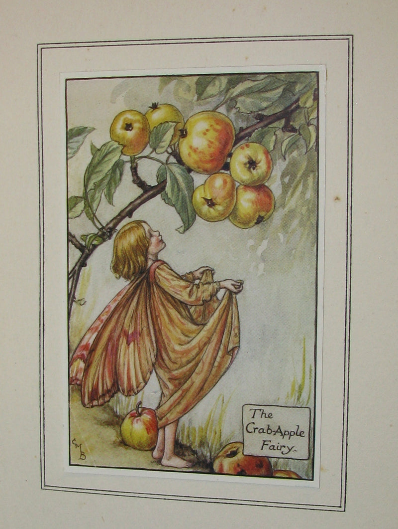 1927 First Edition - Cicely Mary Barker - Autumn Songs with Music from "Flower Fairies of the Autumn"
