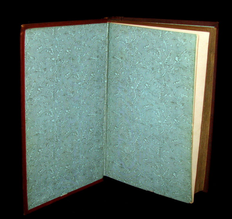 1880 Rare Victorian Book ~ Treasures from FAIRY LAND by Raymond and Greenwood.