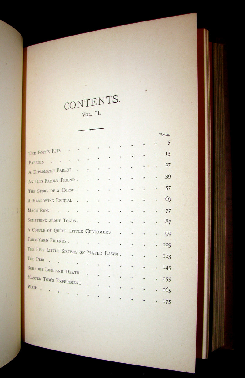 1880 Rare Victorian Book ~ Treasures from FAIRY LAND by Raymond and Greenwood.