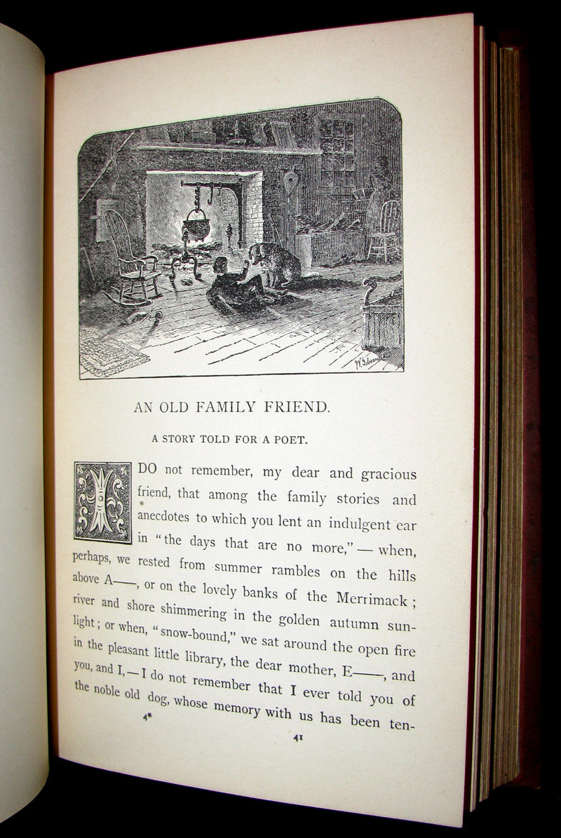1880 Rare Victorian Book ~ Treasures from FAIRY LAND by Raymond and Greenwood.
