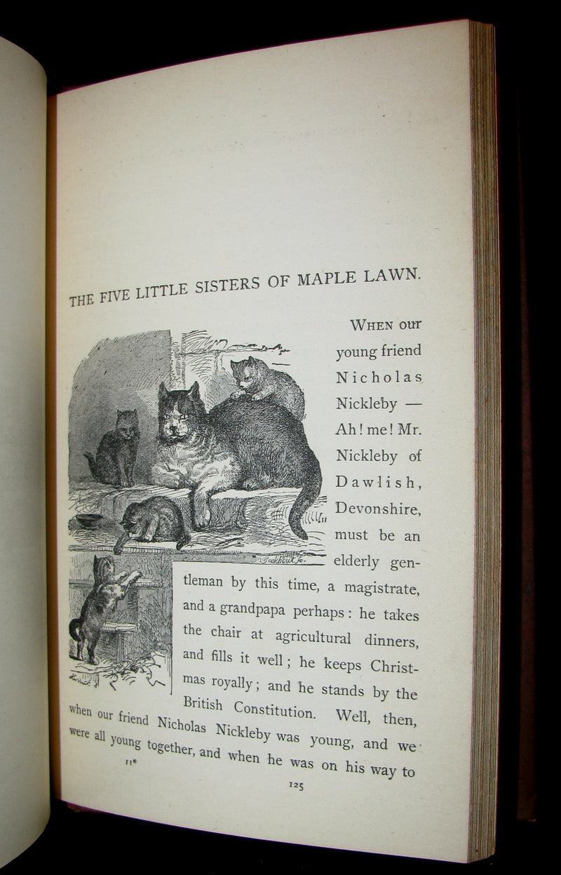 1880 Rare Victorian Book ~ Treasures from FAIRY LAND by Raymond and Greenwood.