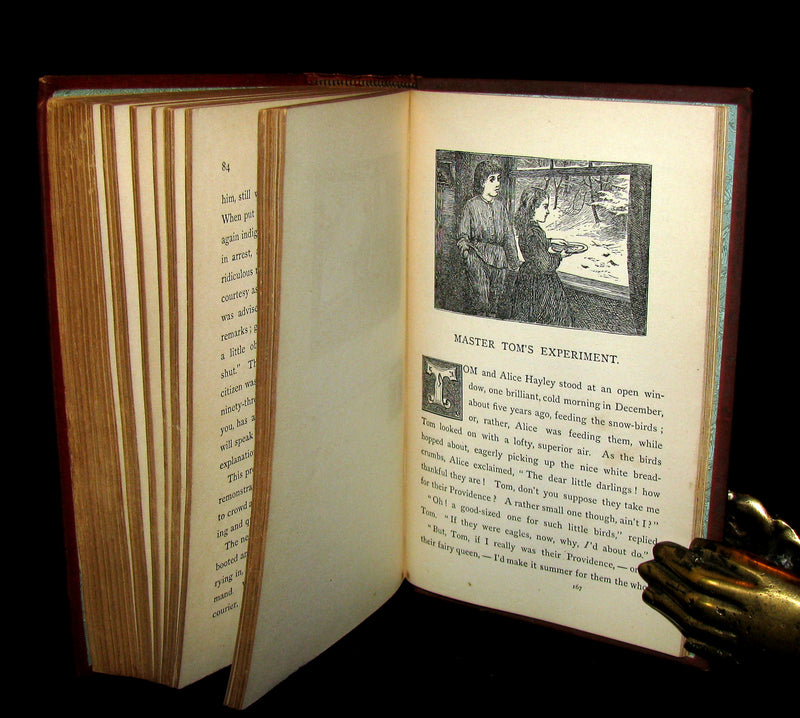 1880 Rare Victorian Book ~ Treasures from FAIRY LAND by Raymond and Greenwood.