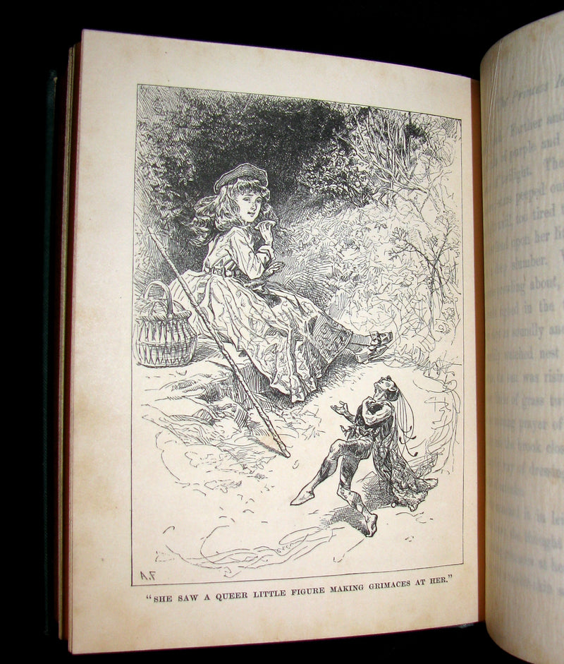 1880 Rare Victorian Book ~ The Princess Idleways a Fairy Story by Mrs. W. J. Hays. Illustrated.