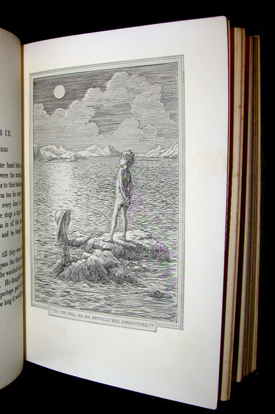 1911 Rare Book  - Peter Pan First UK Edition - Peter and Wendy by James Matthew Barrie