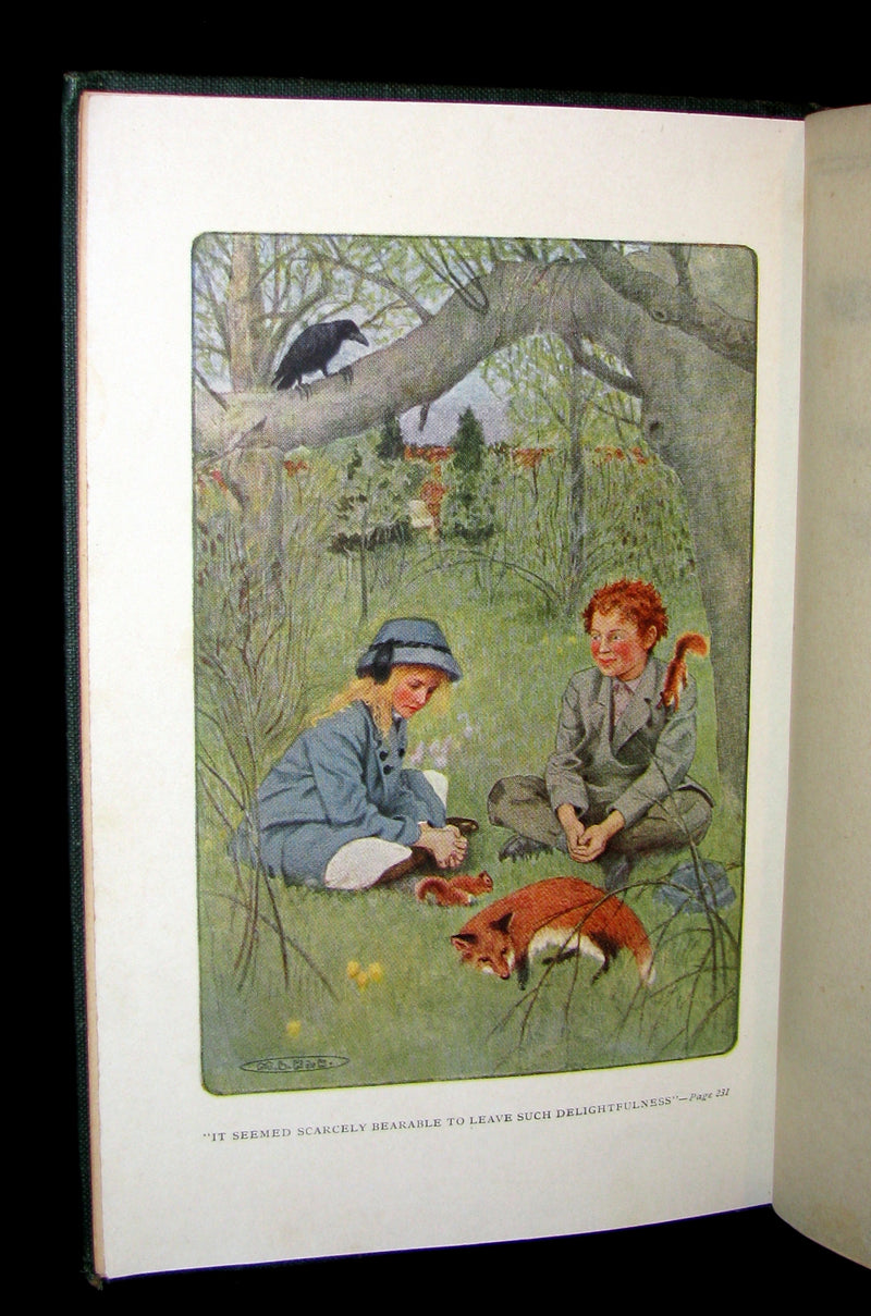 1911 Rare Book - The Secret Garden by Frances Hodgson Burnett. Second Edition.