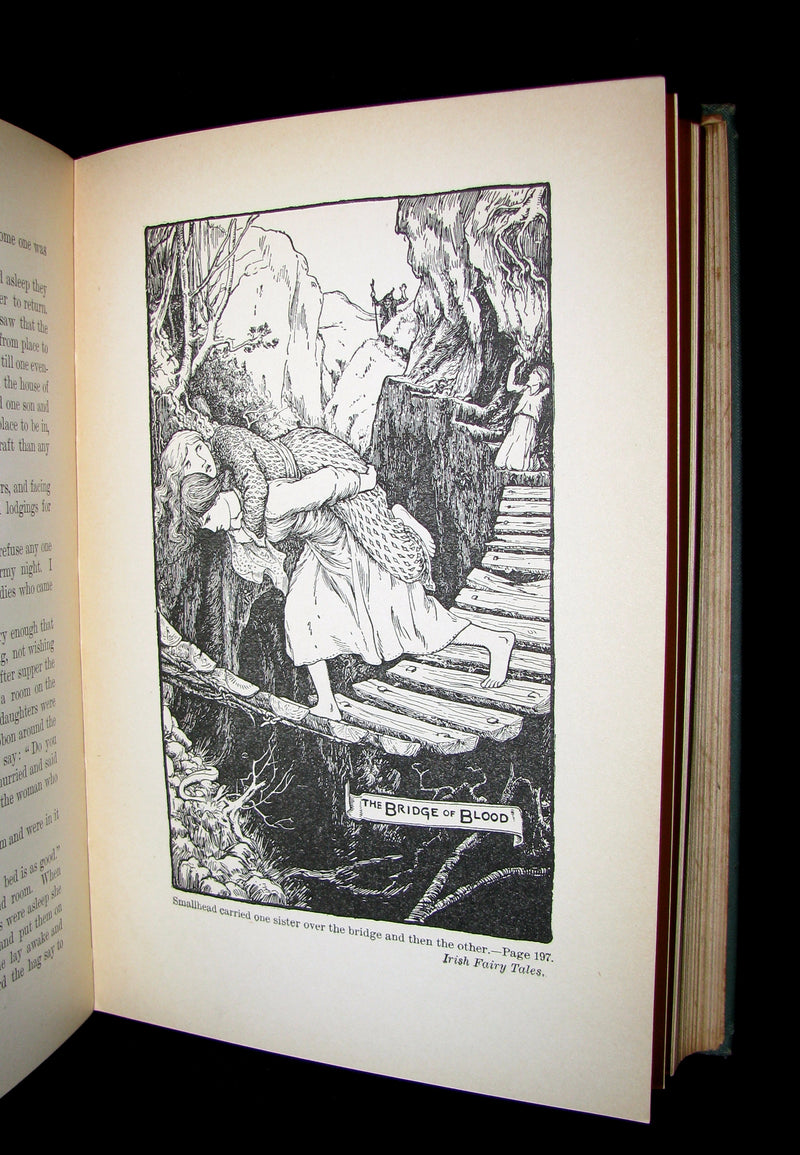 1890 Scarce Victorian Book - Irish Fairy and Folk Tales illustrated by Henry Justice Ford