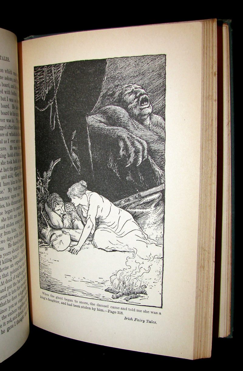1890 Scarce Victorian Book - Irish Fairy and Folk Tales illustrated by Henry Justice Ford