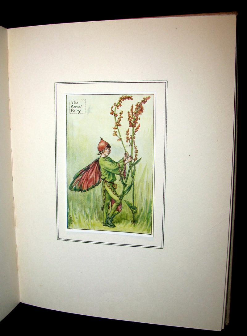 1927 First Edition - Cicely Mary Barker - Summer Songs with Music from "Flower Fairies of the Summer"