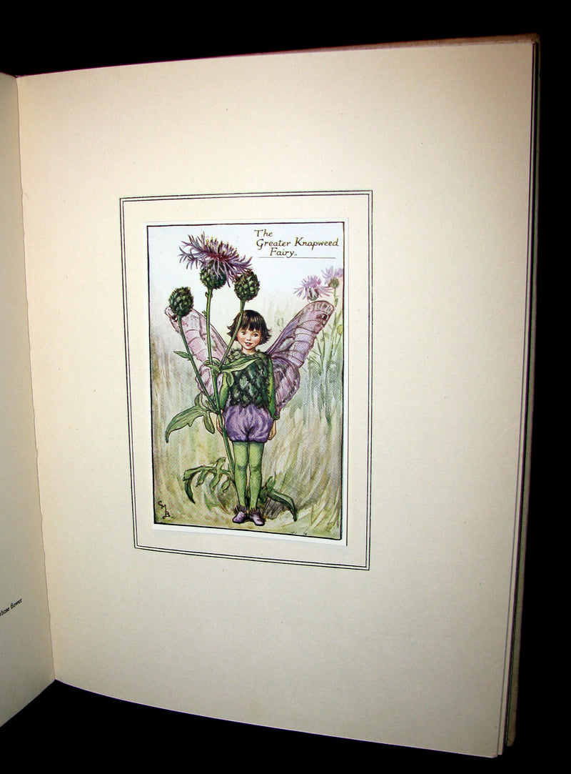 1927 First Edition - Cicely Mary Barker - Summer Songs with Music from "Flower Fairies of the Summer"