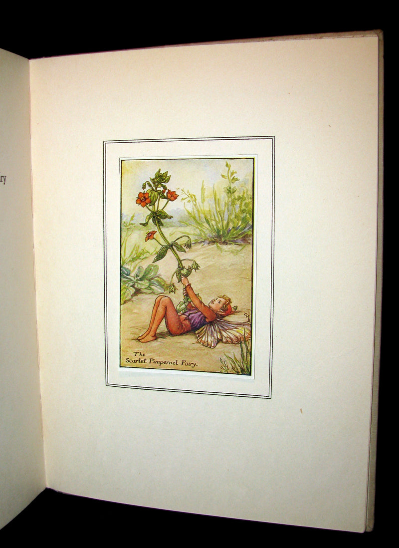 1927 First Edition - Cicely Mary Barker - Summer Songs with Music from "Flower Fairies of the Summer"