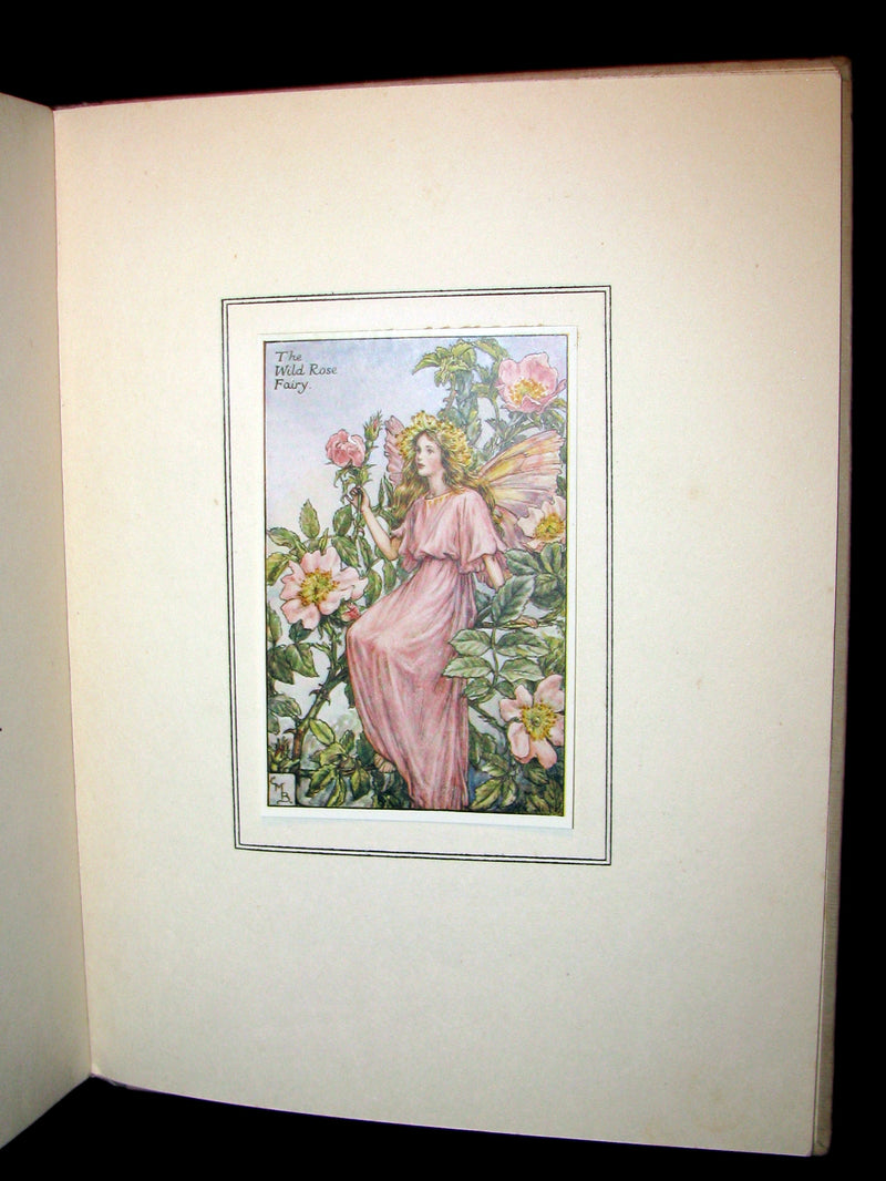 1927 First Edition - Cicely Mary Barker - Summer Songs with Music from "Flower Fairies of the Summer"