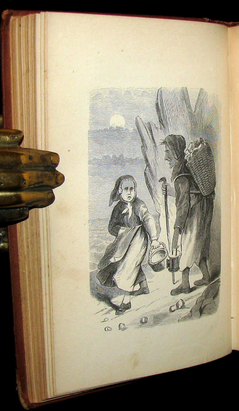 1867 Scarce Victorian Book ~ Seaside and Fireside FAIRIES by Annis Lee Wister. Illustrated.