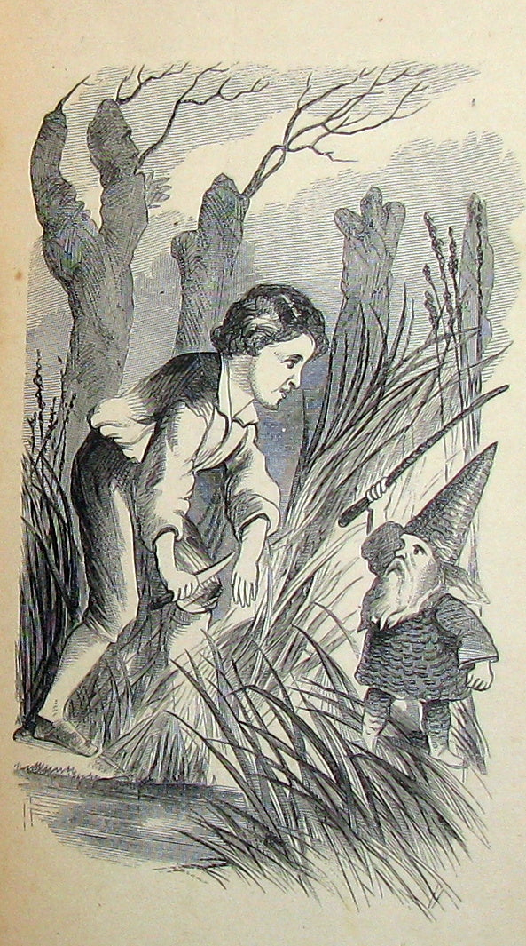 1867 Scarce Victorian Book ~ Seaside and Fireside FAIRIES by Annis Lee Wister. Illustrated.